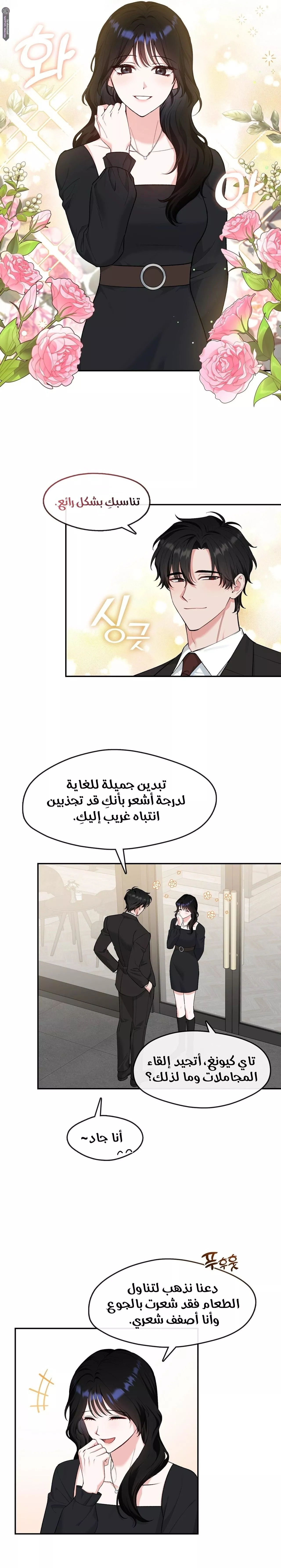 الصفحة 13