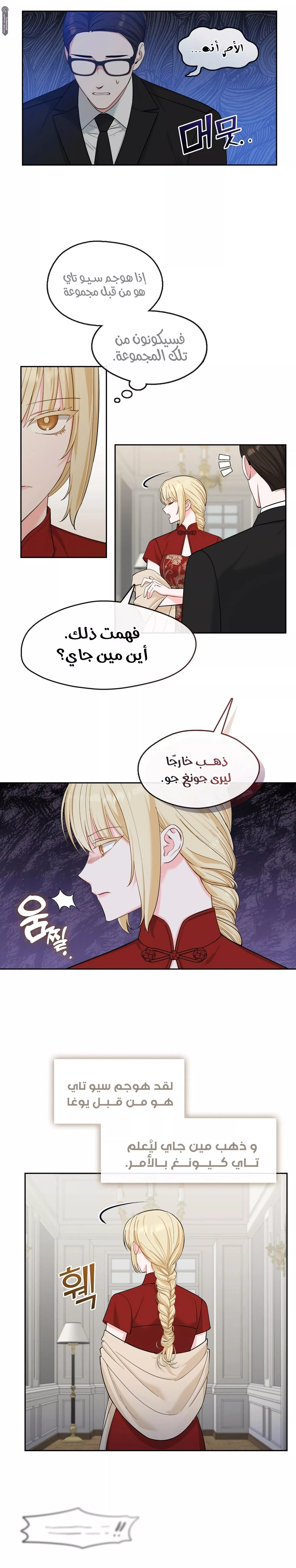 الصفحة 17