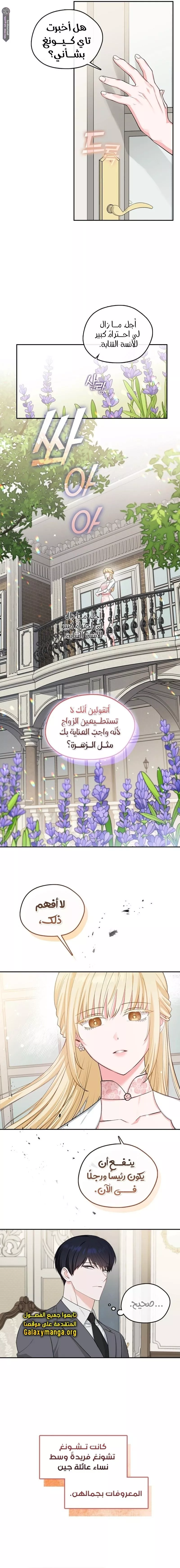 الصفحة 8