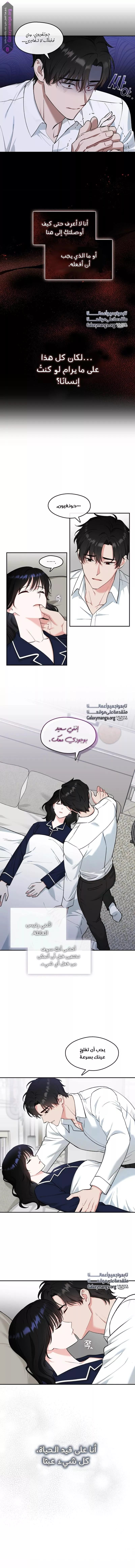 الصفحة 5