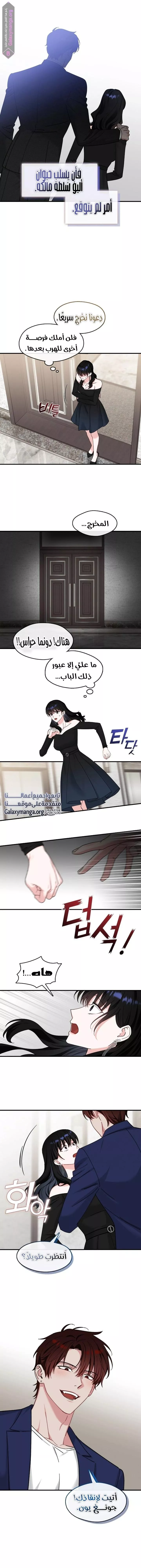 الصفحة 11