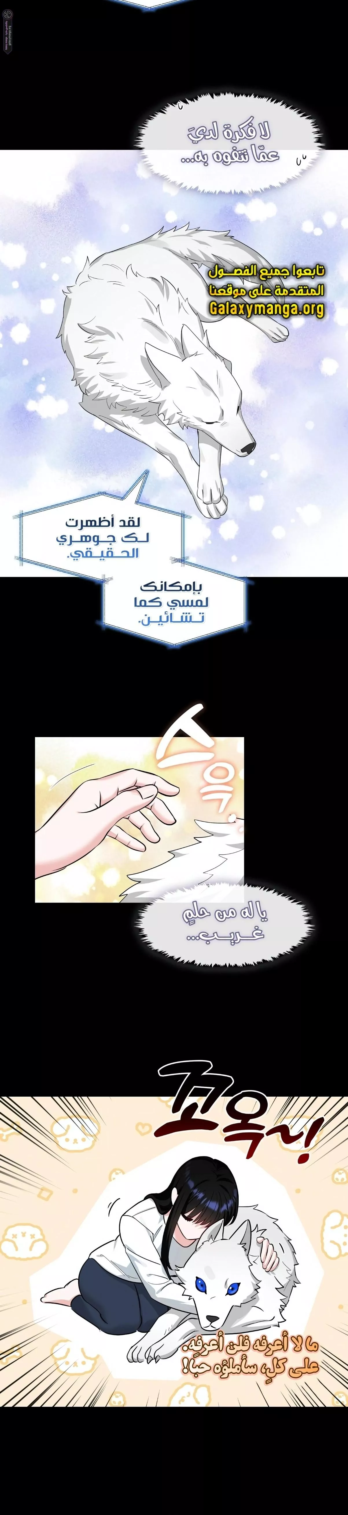 الصفحة 10