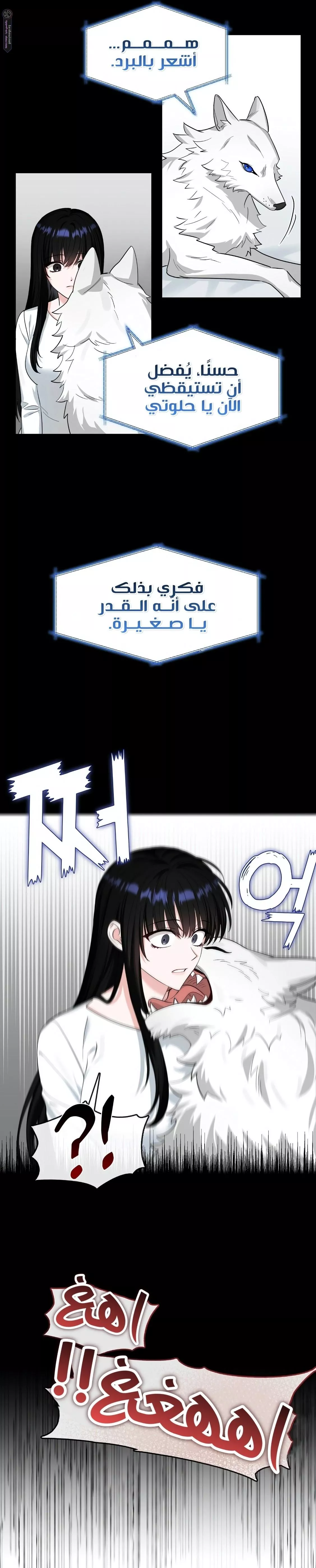الصفحة 11
