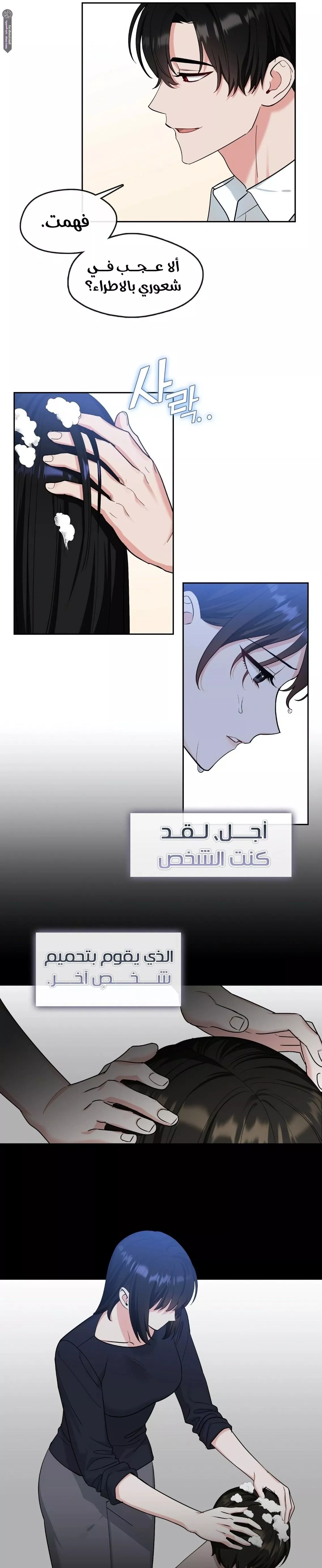 الصفحة 17