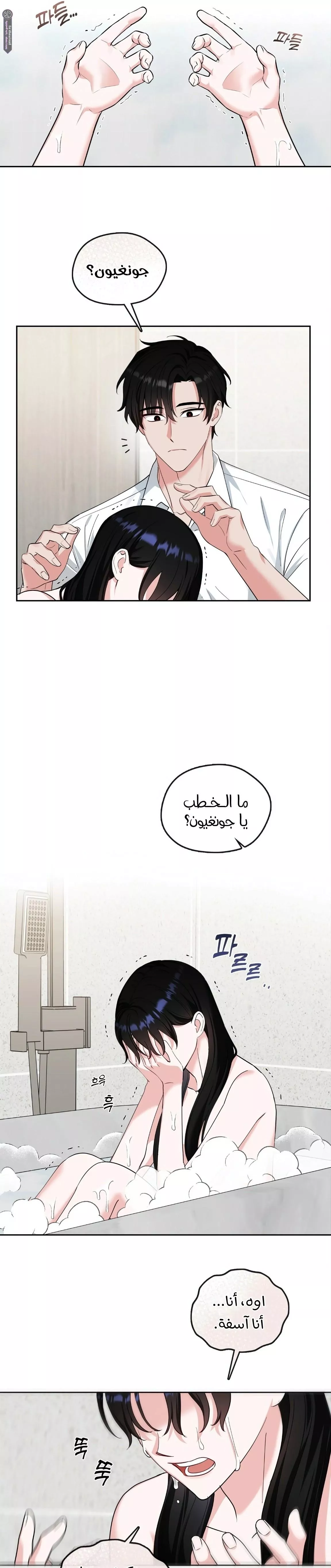 الصفحة 19