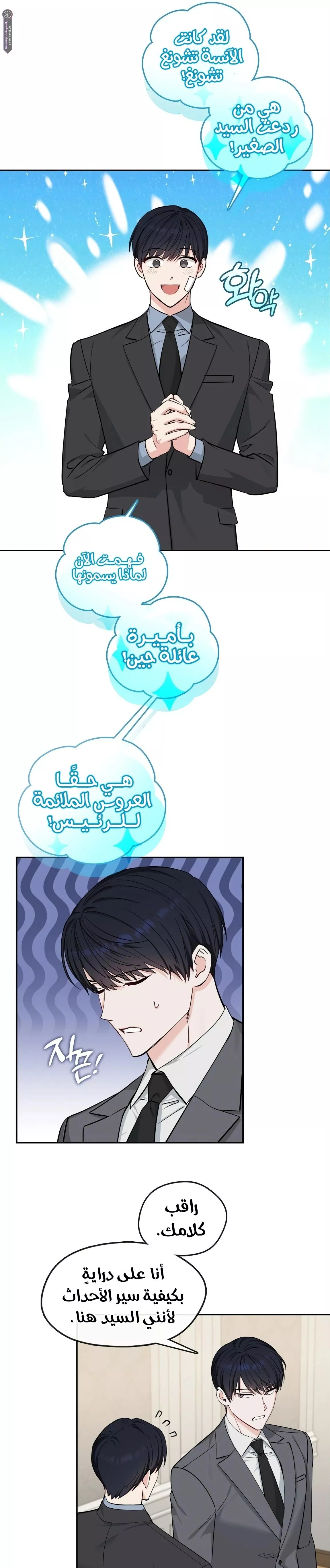 الصفحة 21