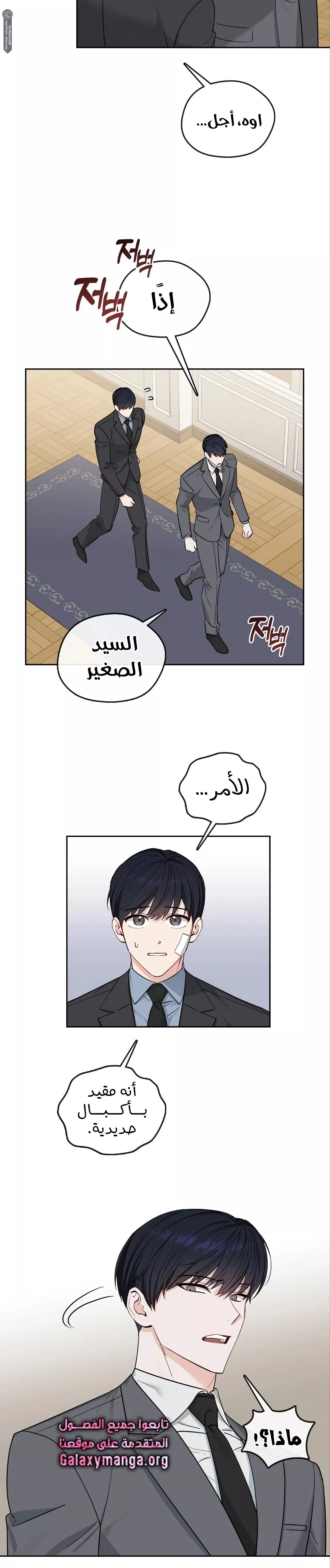 الصفحة 22