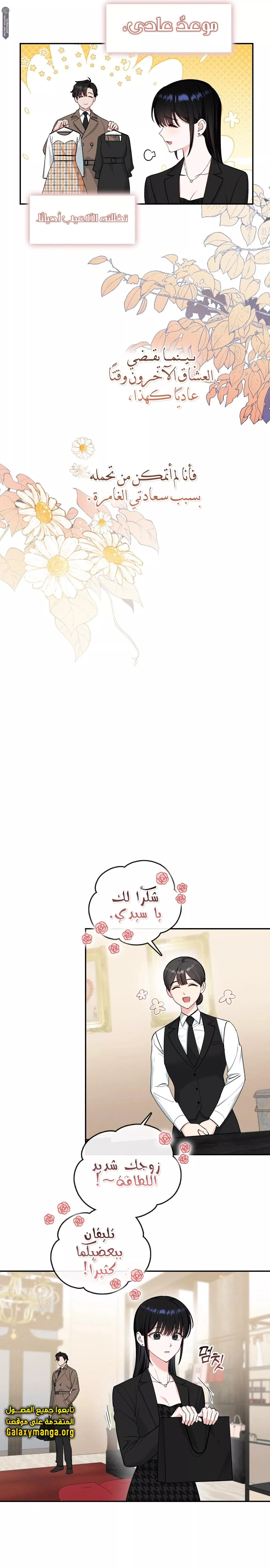 الصفحة 13