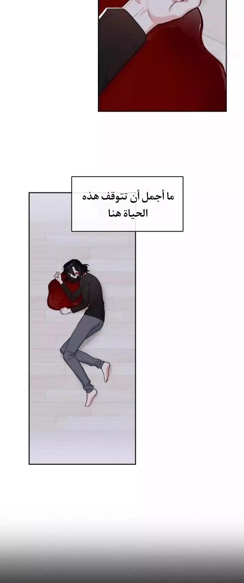 الصفحة 24