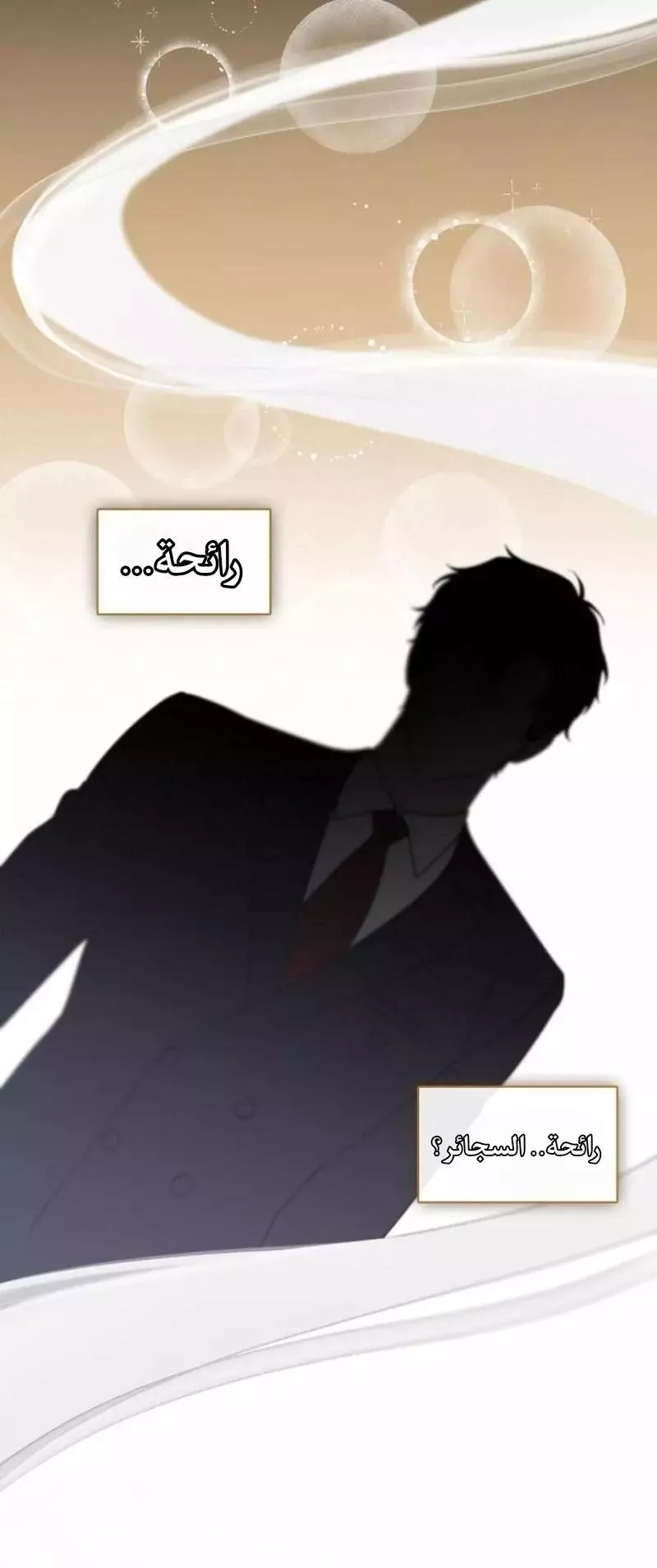 الصفحة 31