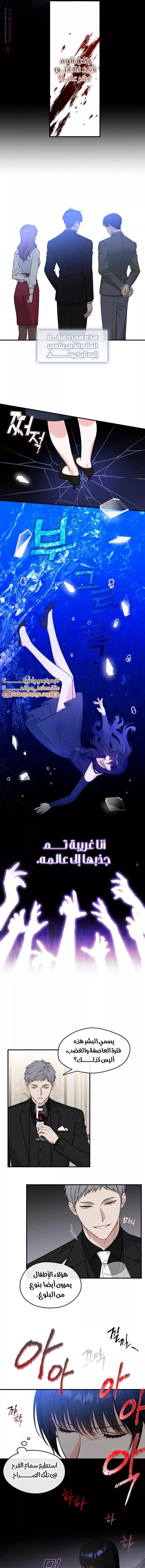 الصفحة 6