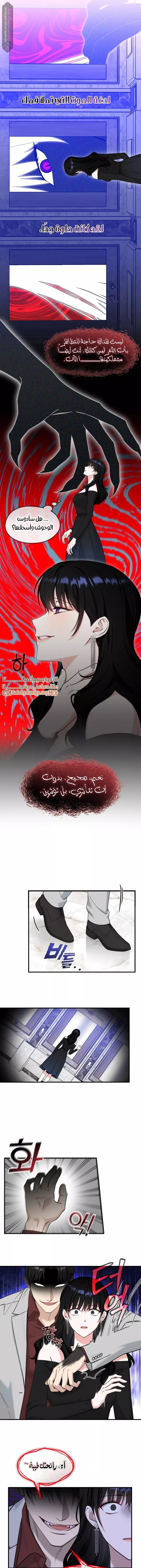 الصفحة 8