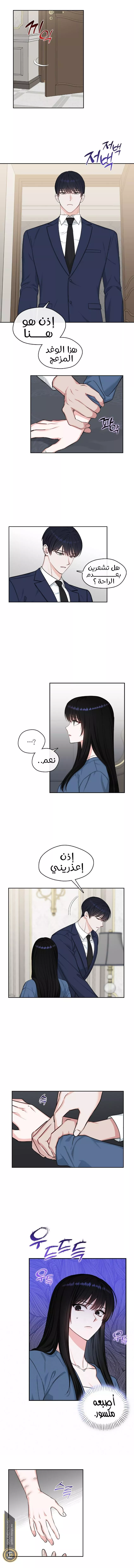 الصفحة 7