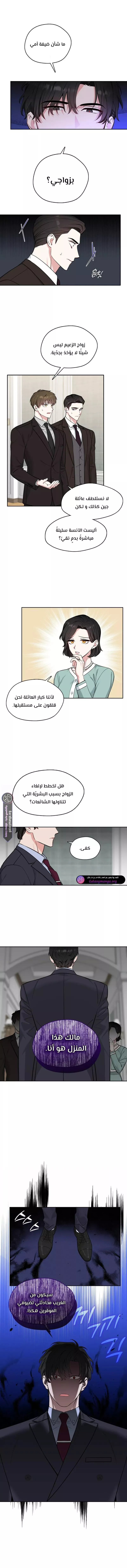 الصفحة 5