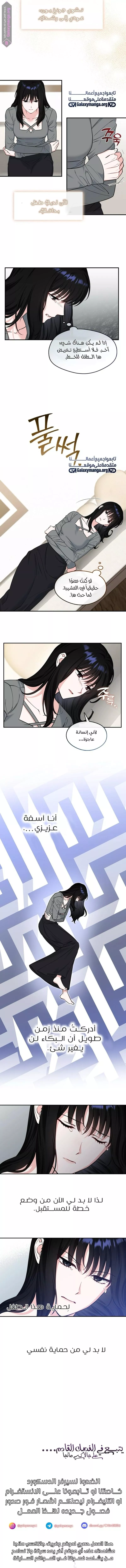 الصفحة 8