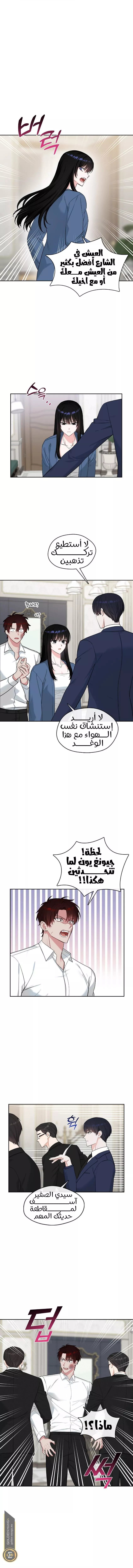 الصفحة 6