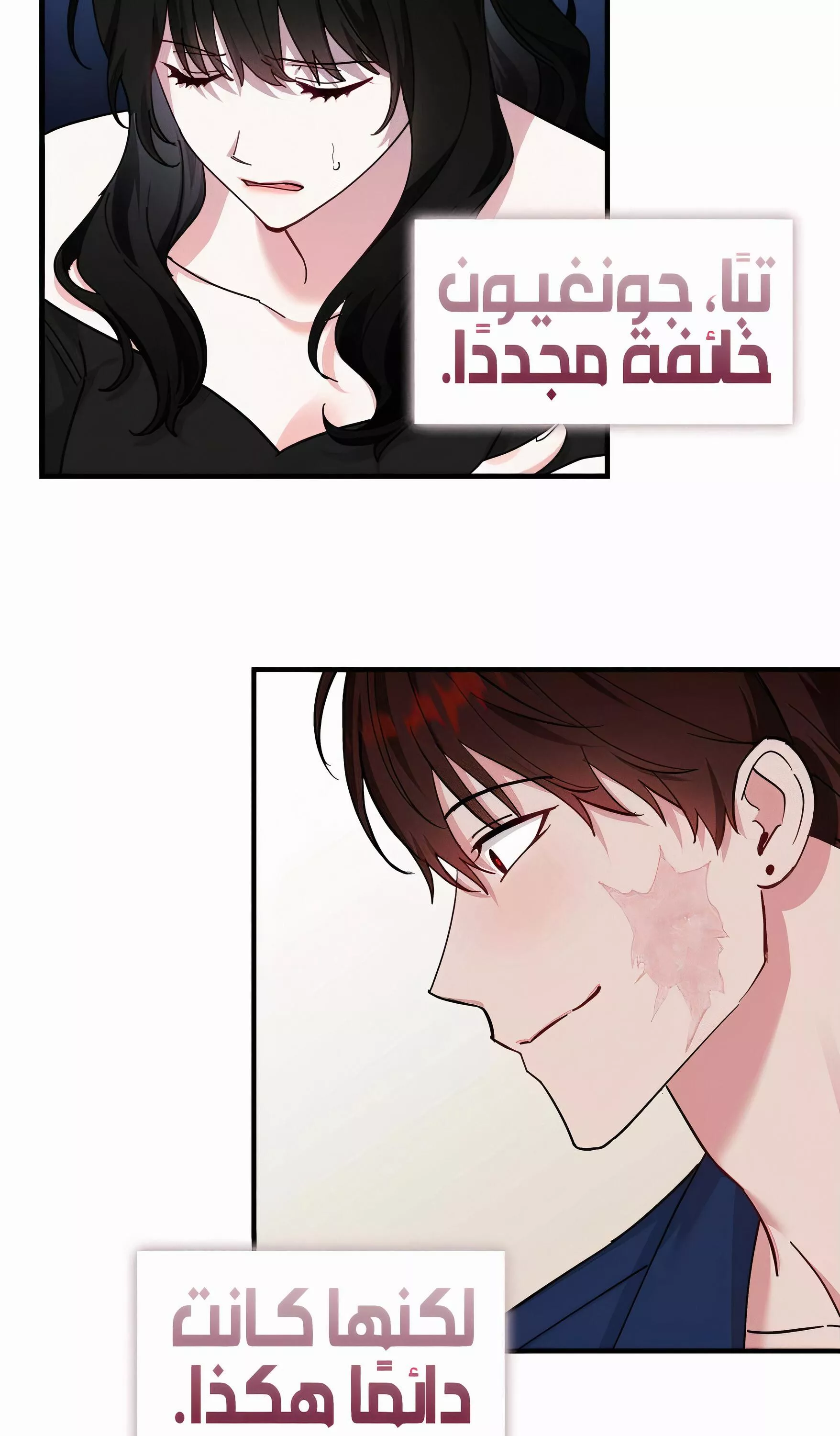 الصفحة 13