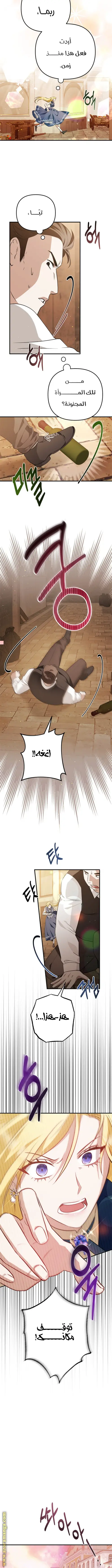 الصفحة 8