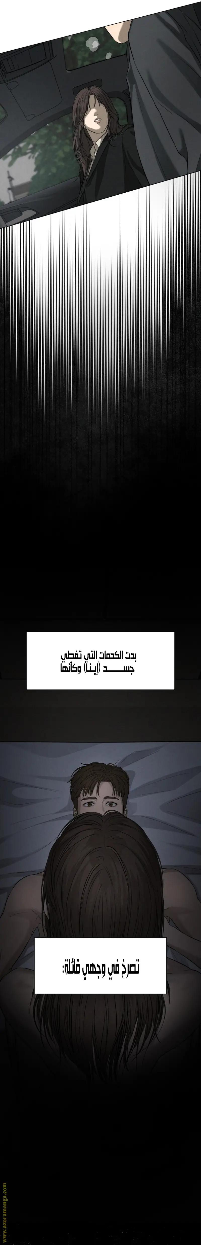 الصفحة 13