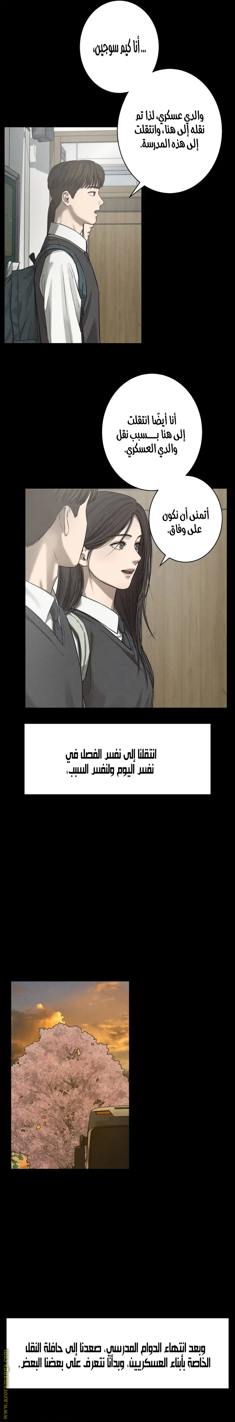 الصفحة 17