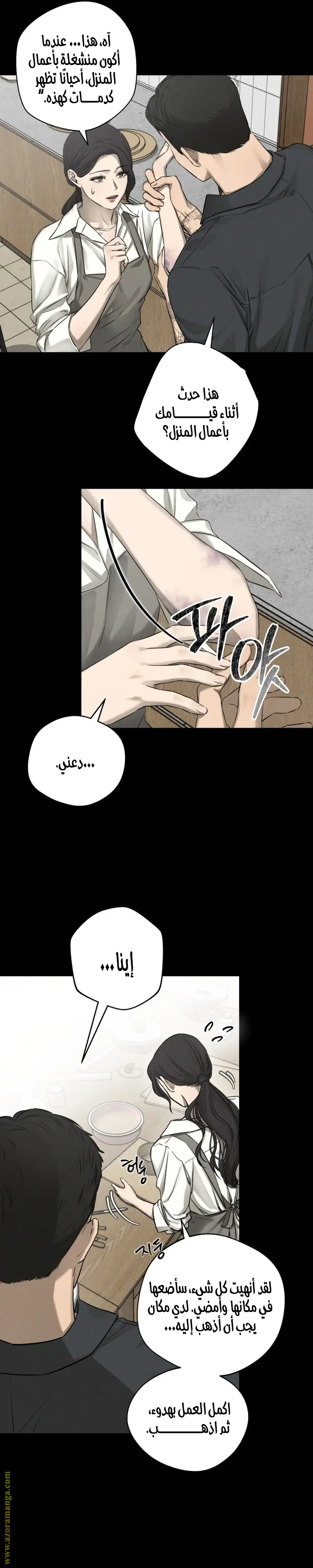 الصفحة 25