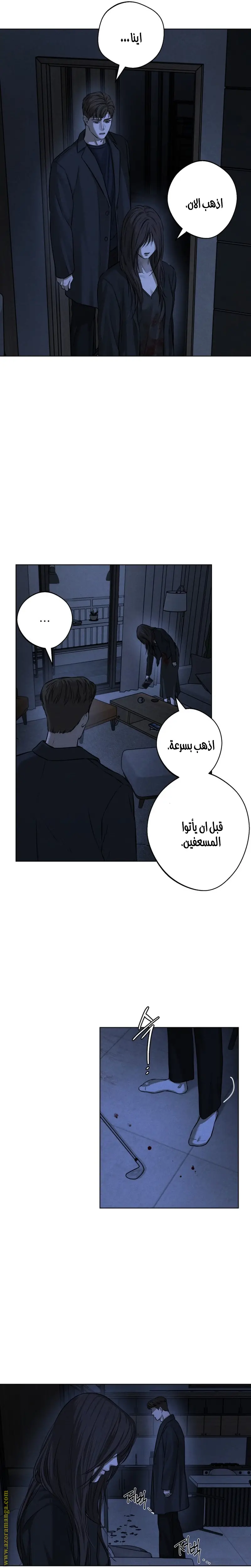الصفحة 17