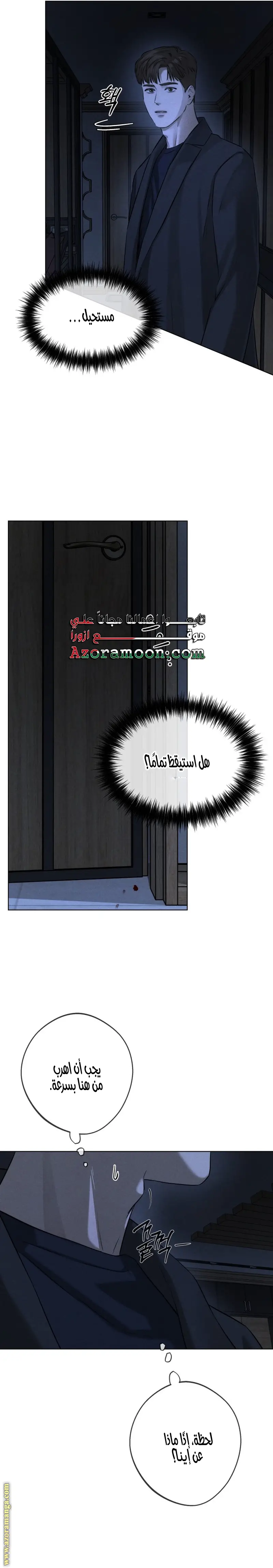 الصفحة 19