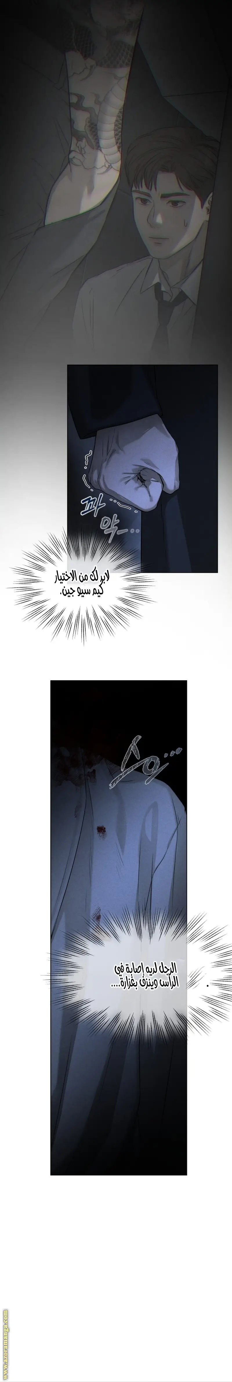 الصفحة 21