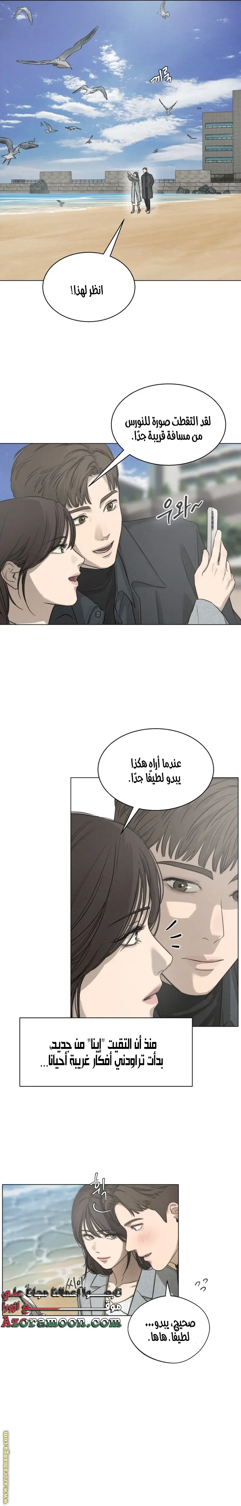 الصفحة 14