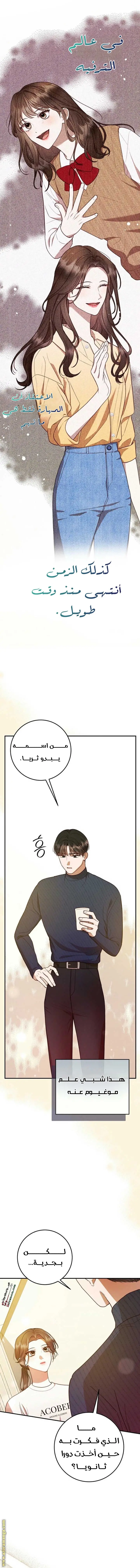 الصفحة 17