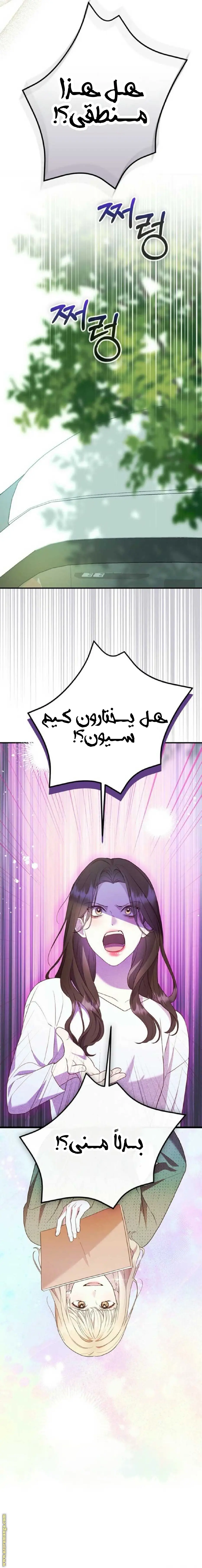 الصفحة 17