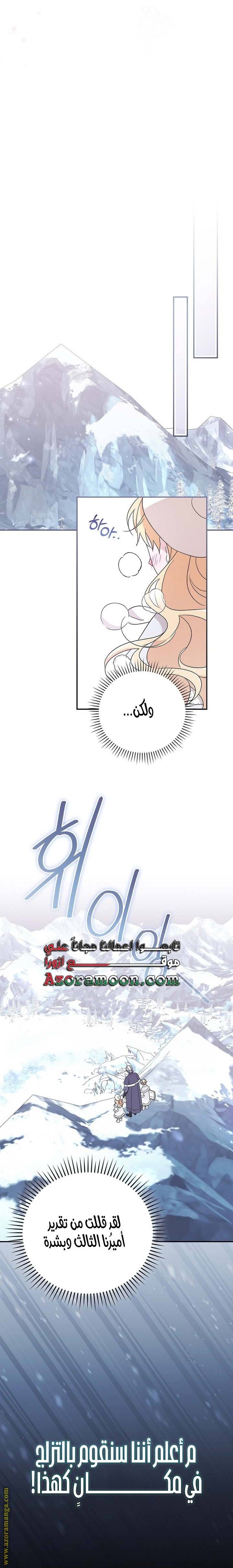 الصفحة 25