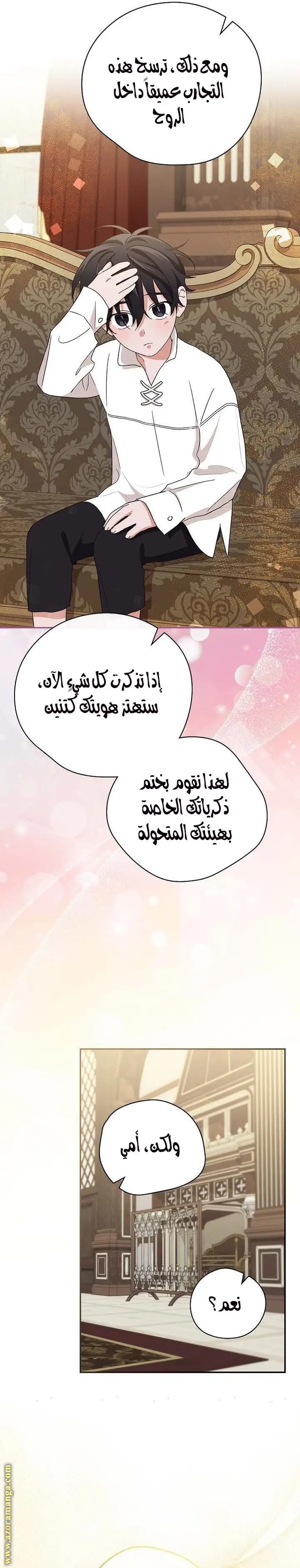 الصفحة 17
