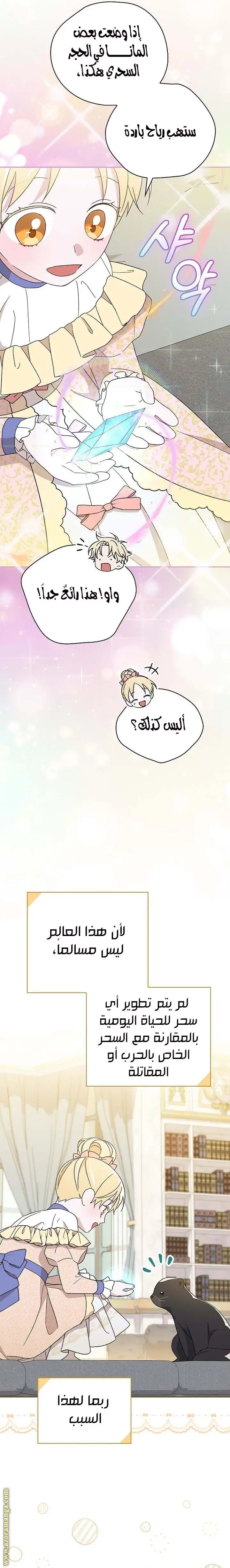 الصفحة 26
