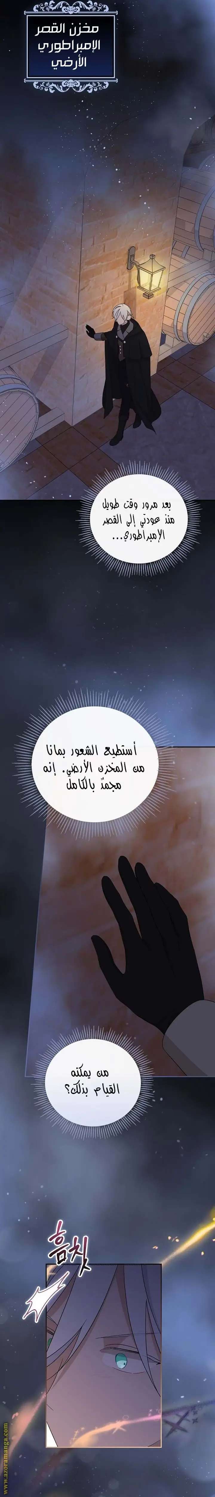 الصفحة 29