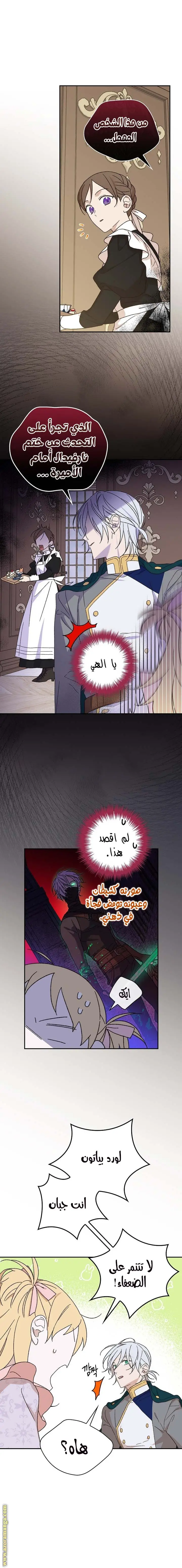 الصفحة 11