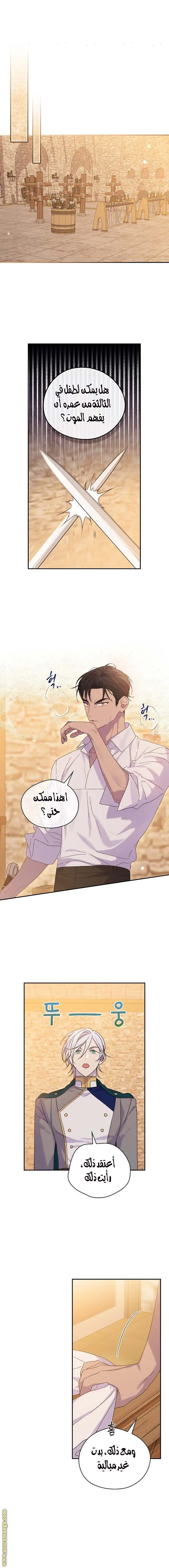الصفحة 17