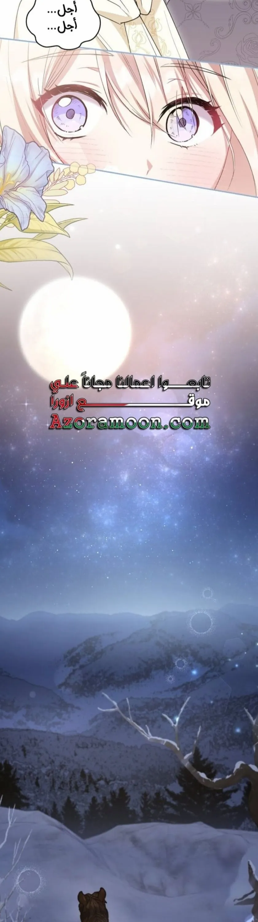 الصفحة 24