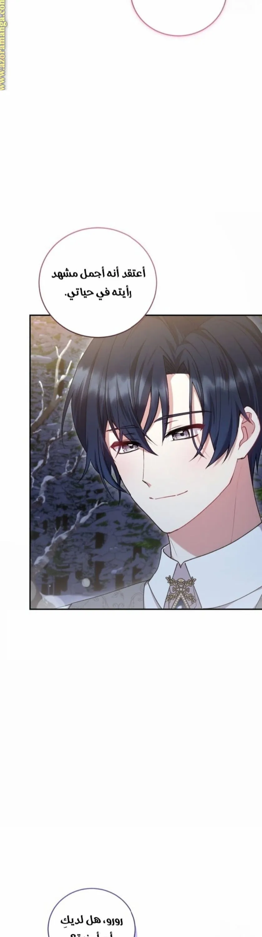 الصفحة 26