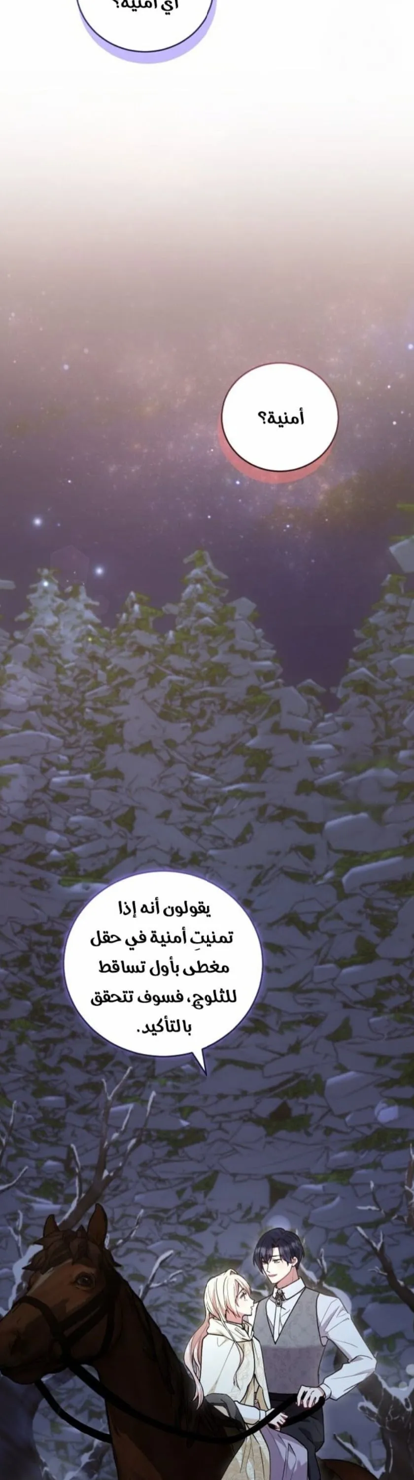الصفحة 27