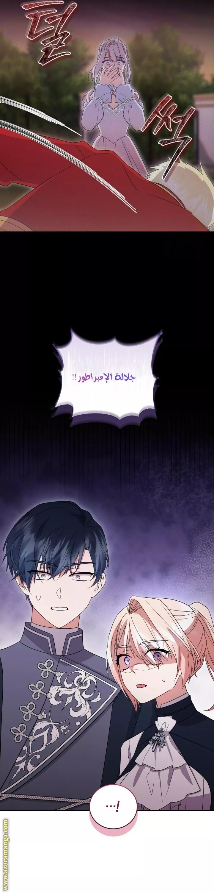 الصفحة 13