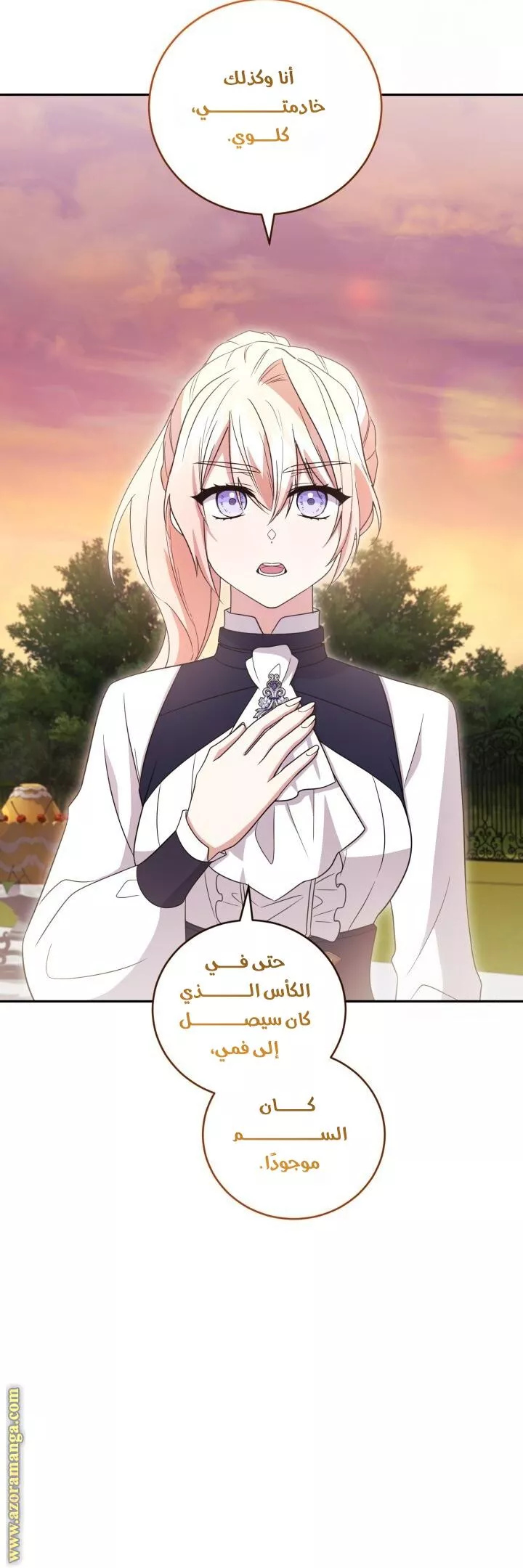 الصفحة 33