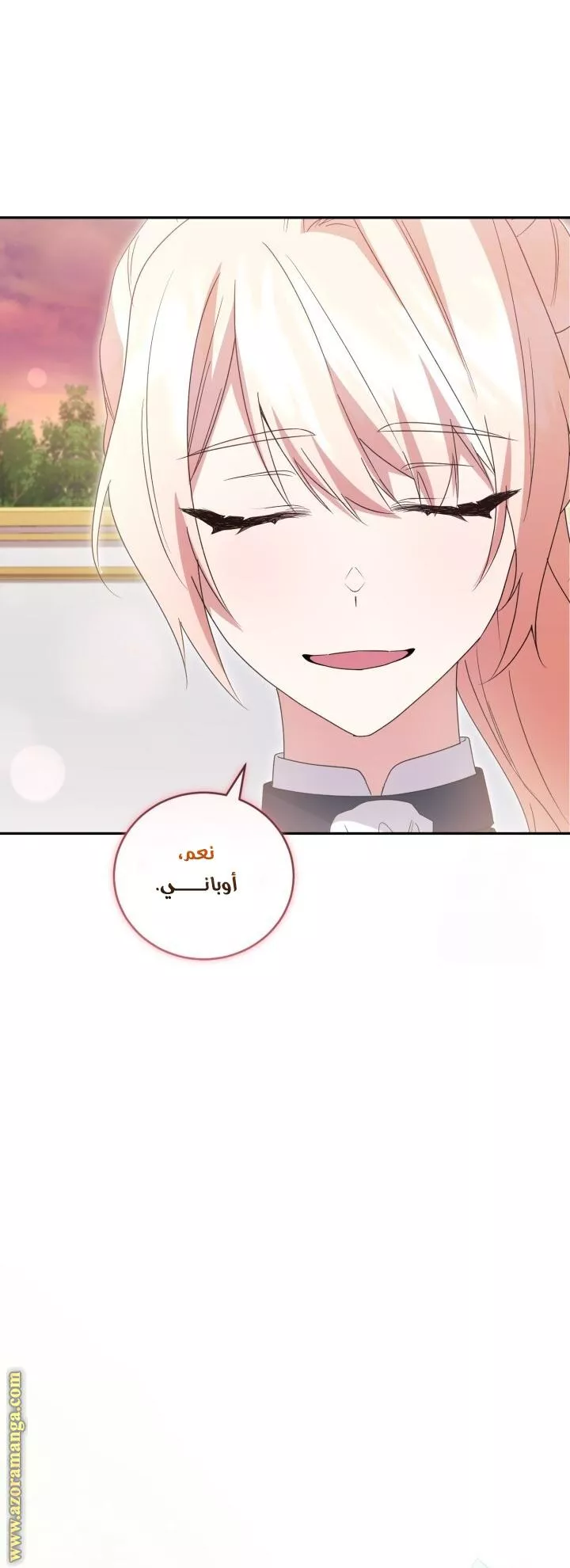 الصفحة 41