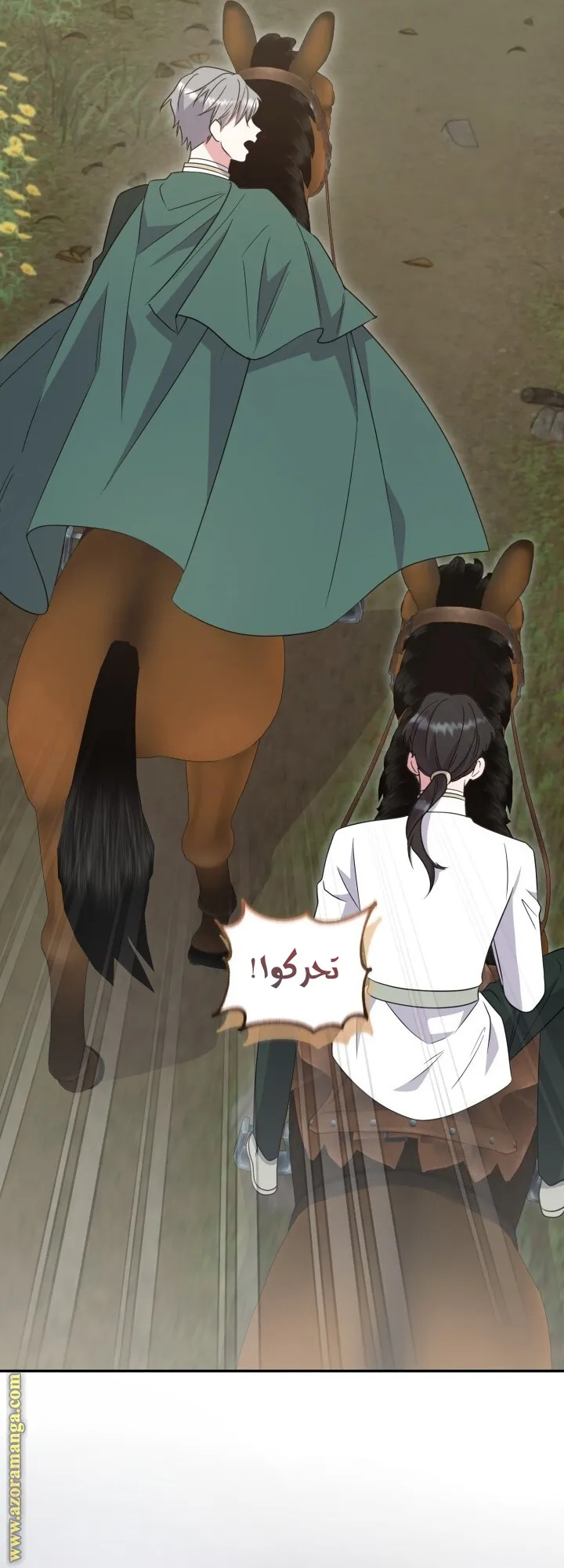 الصفحة 17