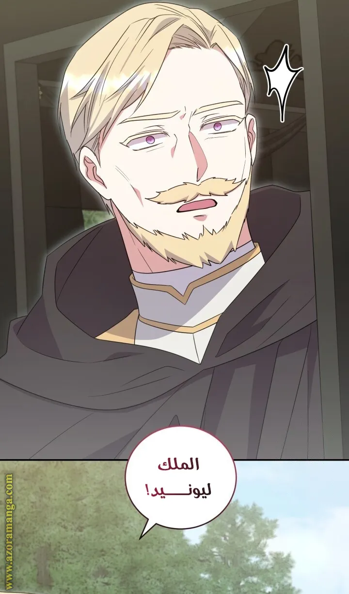 الصفحة 24