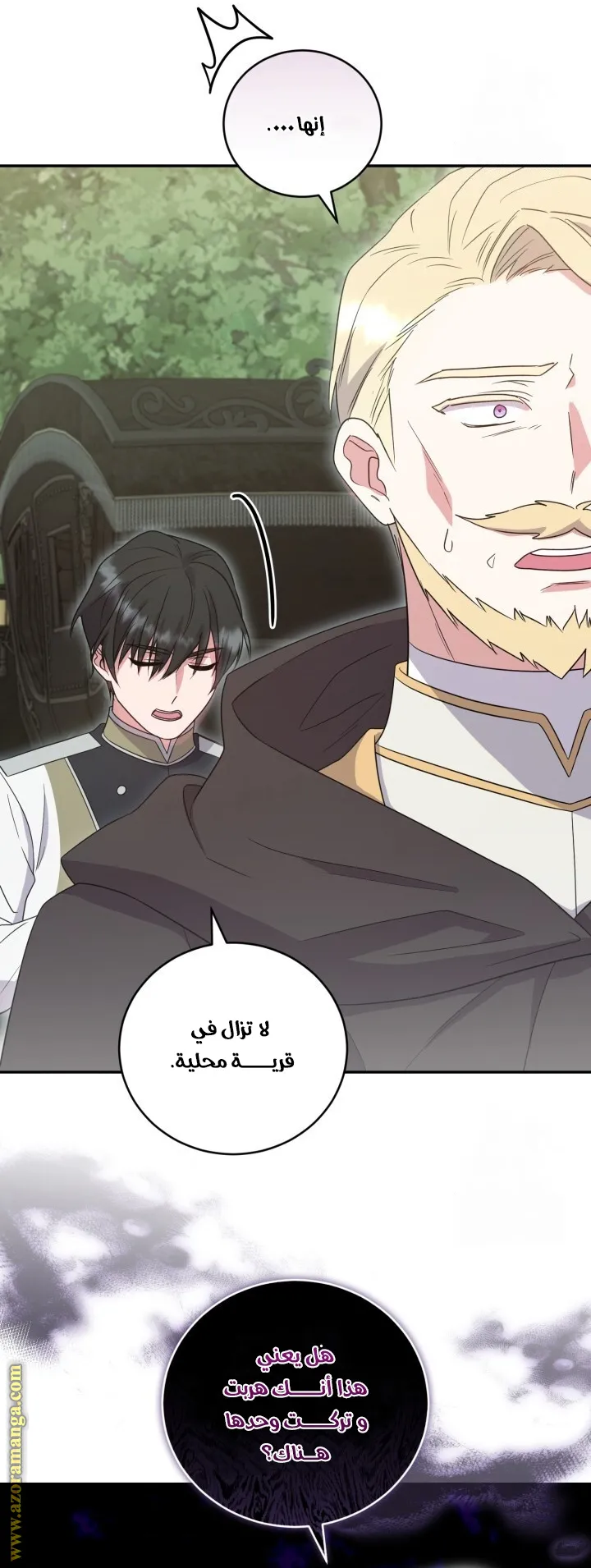 الصفحة 27