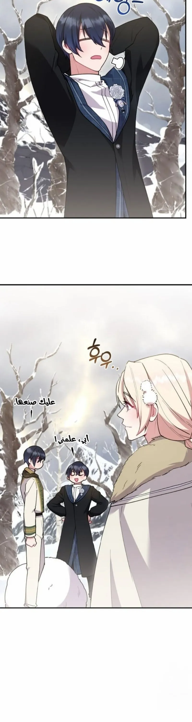 الصفحة 13