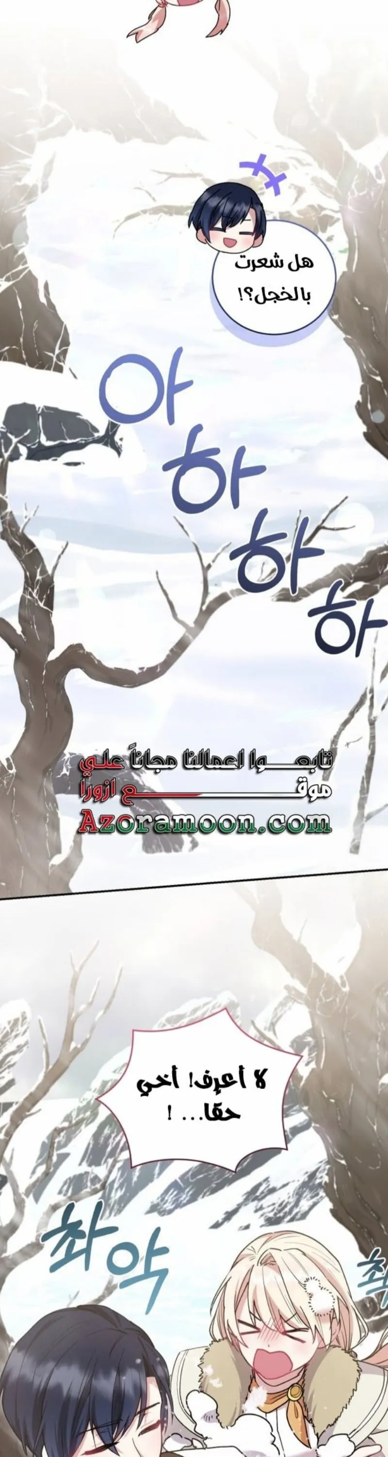 الصفحة 17
