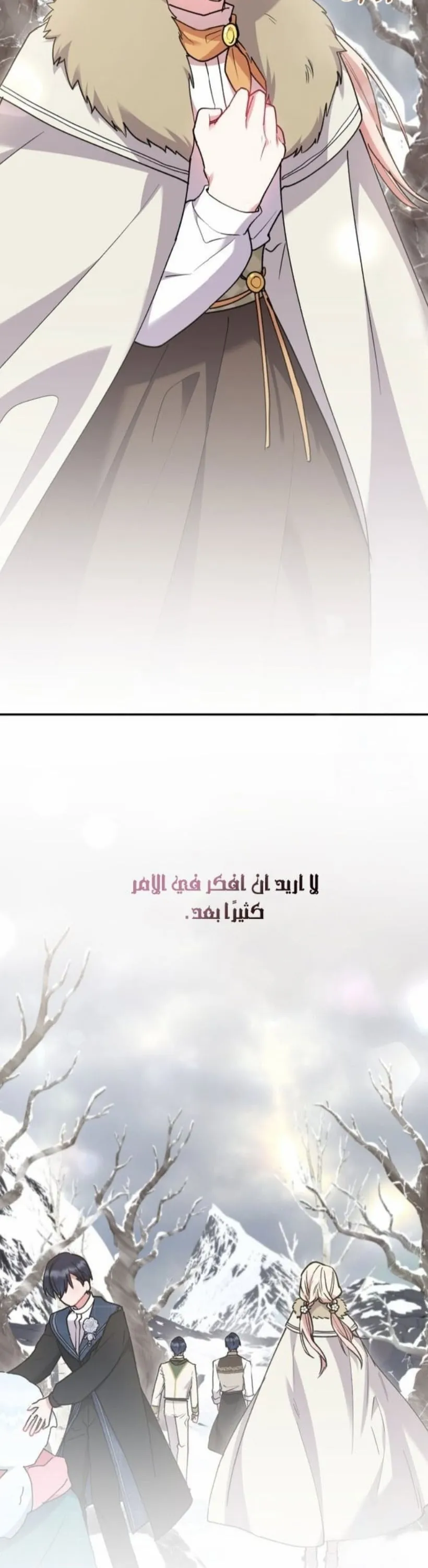 الصفحة 28