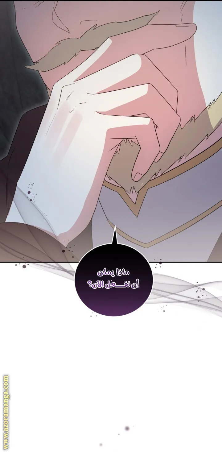 الصفحة 54